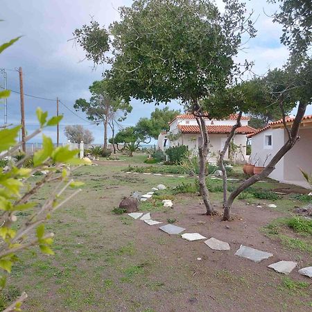Vintage Beach House Agia Anna  Ngoại thất bức ảnh