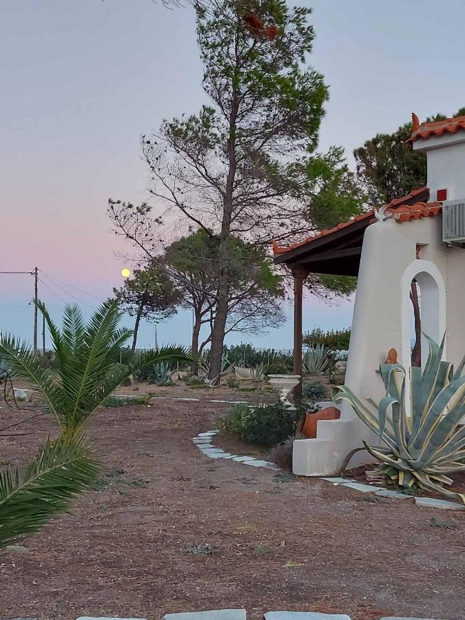 Vintage Beach House Agia Anna  Ngoại thất bức ảnh